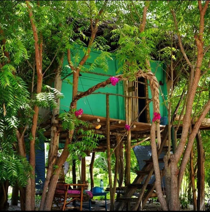 Mida Creek Nature Camp Watamu Bagian luar foto