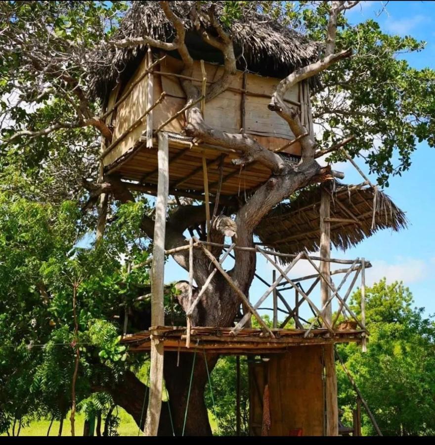 Mida Creek Nature Camp Watamu Bagian luar foto