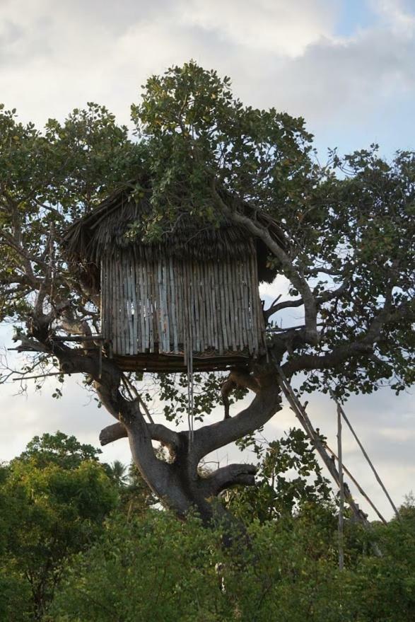 Mida Creek Nature Camp Watamu Bagian luar foto