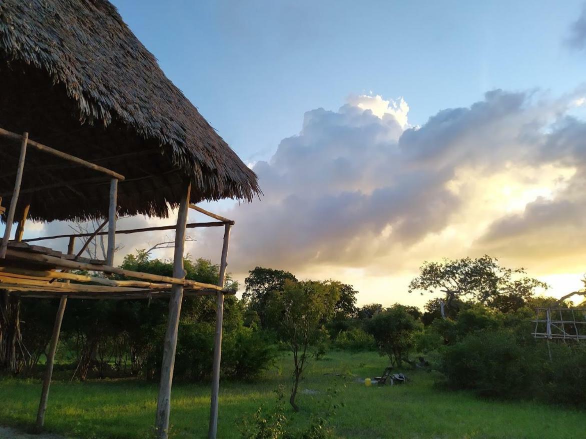 Mida Creek Nature Camp Watamu Bagian luar foto