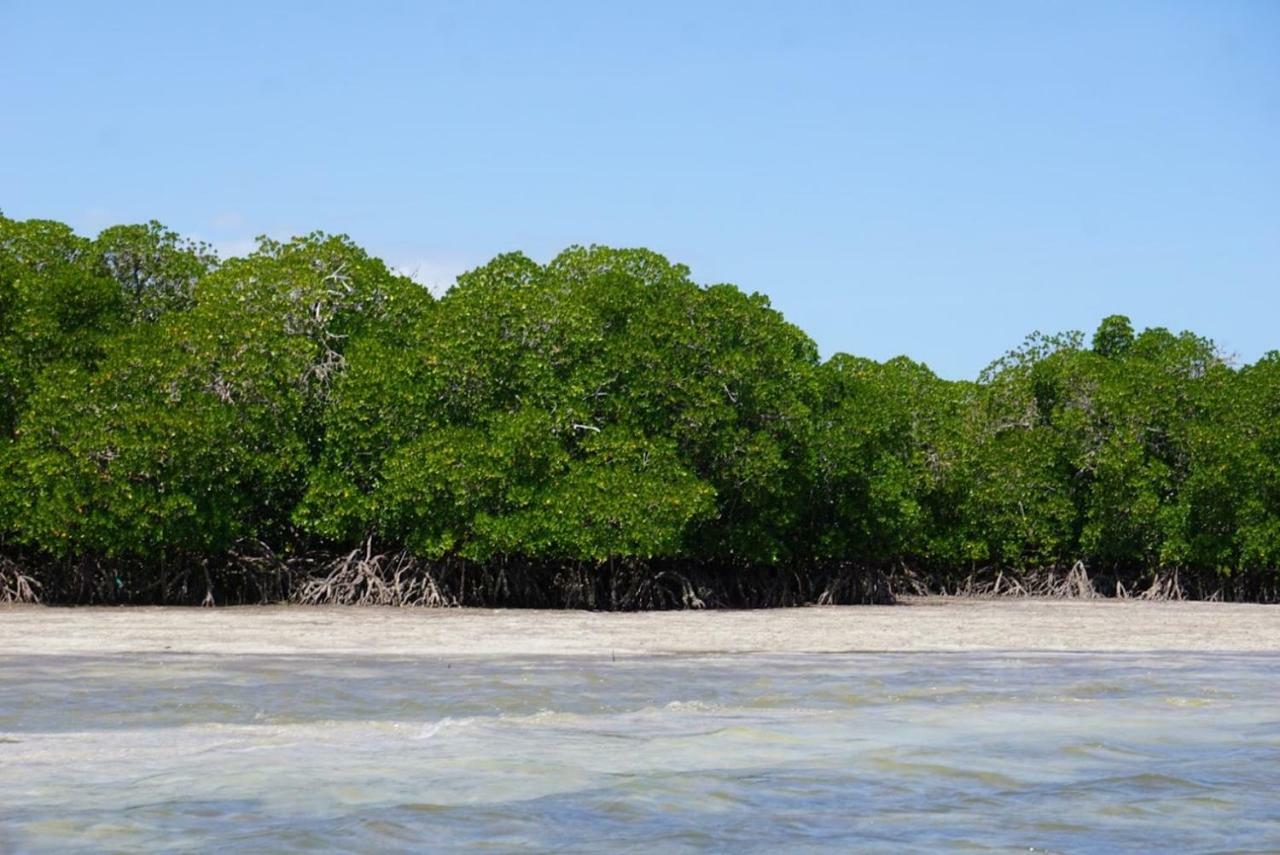 Mida Creek Nature Camp Watamu Bagian luar foto