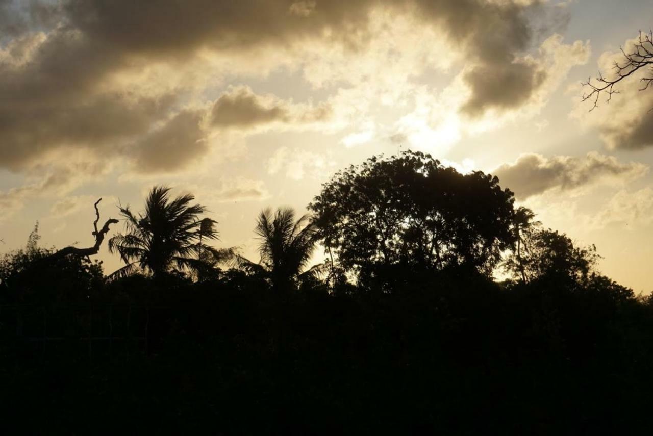 Mida Creek Nature Camp Watamu Bagian luar foto