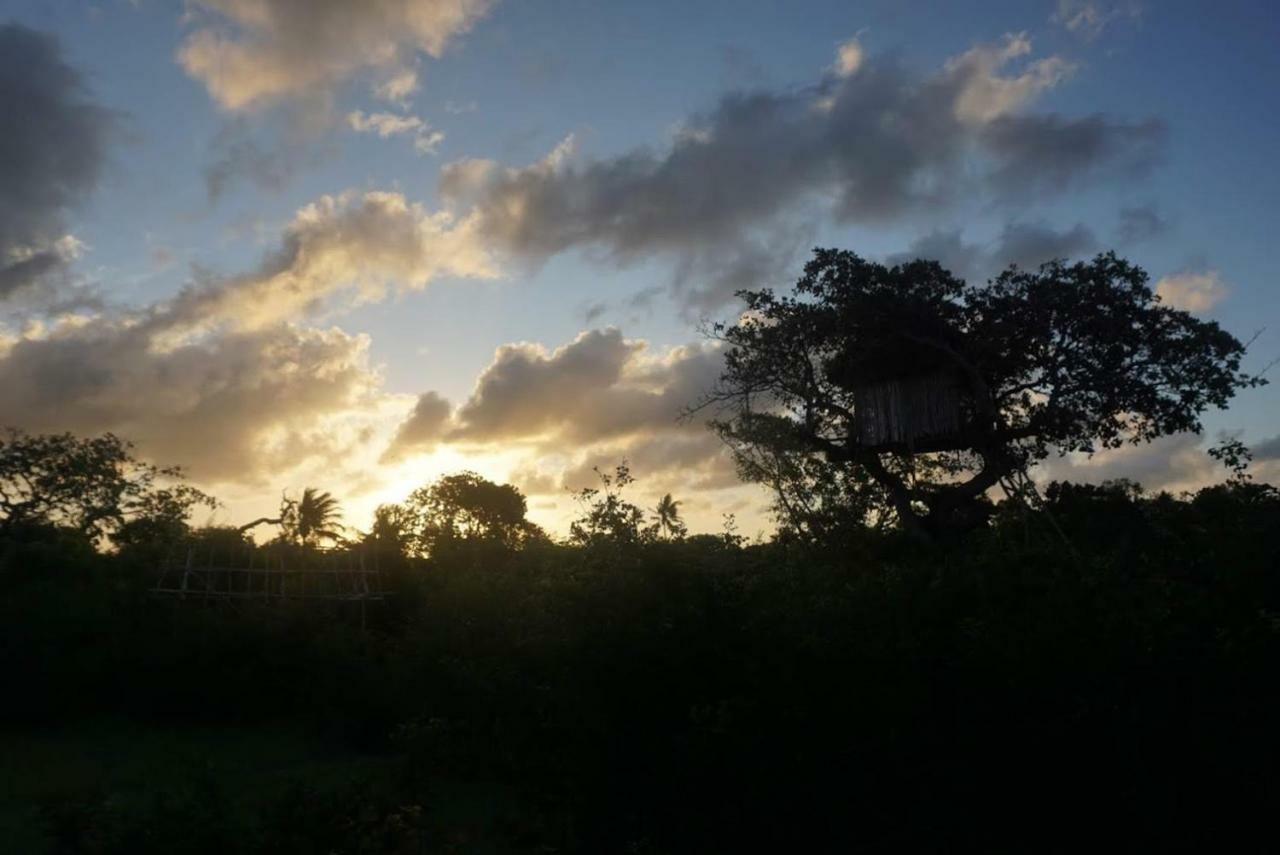 Mida Creek Nature Camp Watamu Bagian luar foto
