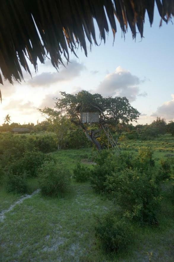 Mida Creek Nature Camp Watamu Bagian luar foto