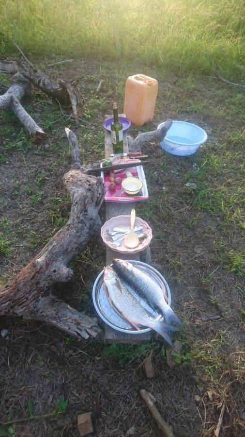 Mida Creek Nature Camp Watamu Bagian luar foto