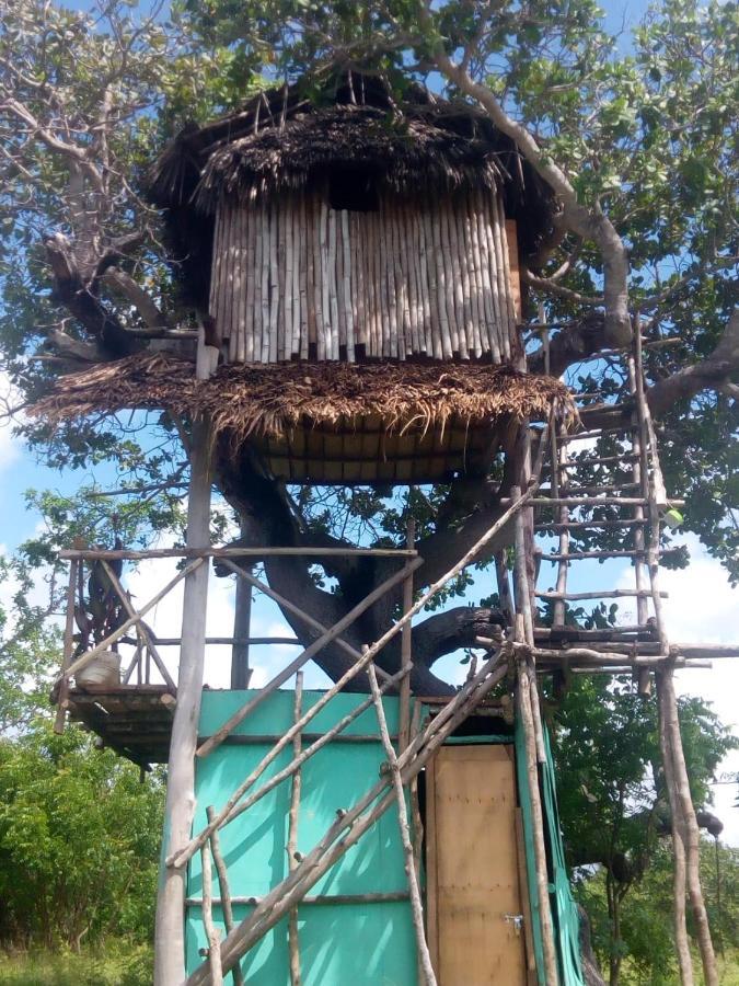 Mida Creek Nature Camp Watamu Bagian luar foto