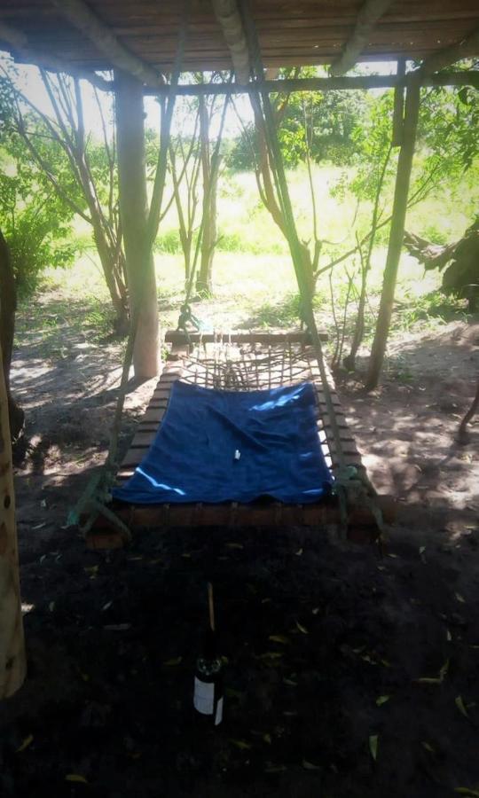 Mida Creek Nature Camp Watamu Bagian luar foto